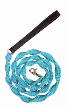 BayDog Sea Foam Seaside Leash 6ft