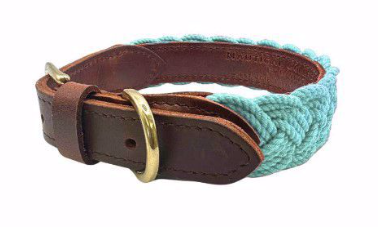 BayDog Sea Foam Seaside Collar LG