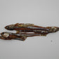 Becosi Anchovies 1oz