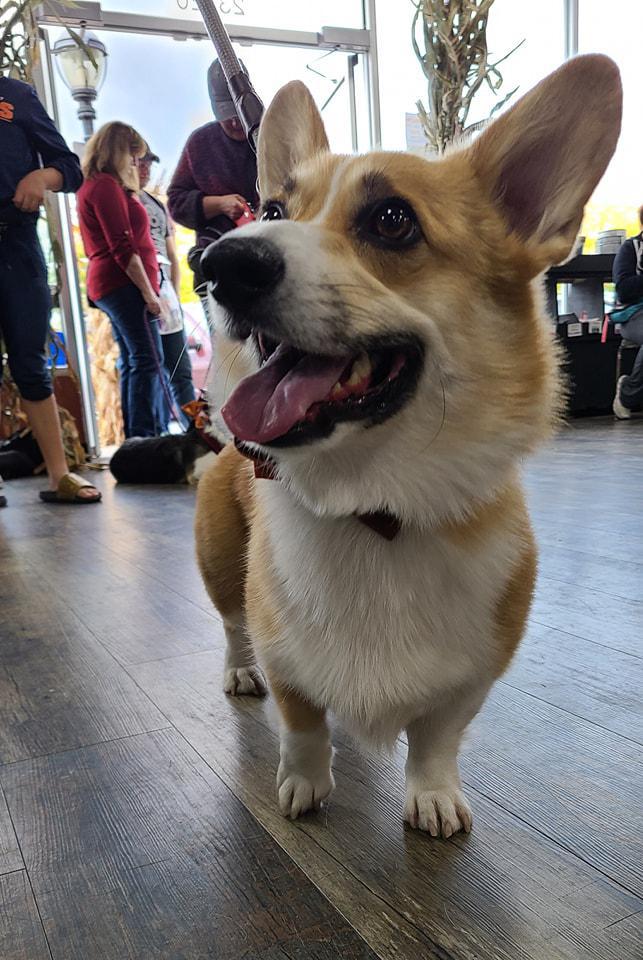 Fall 2025 Photo Shoot