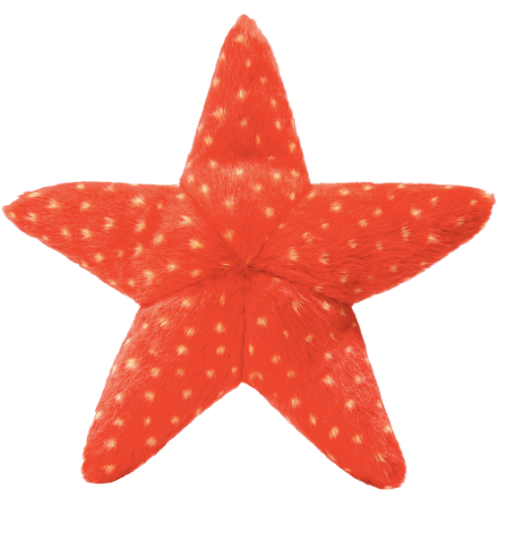 F&T Ziggy Starfish 12"