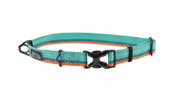 Coastal K9 Explorer Trek Adjustable Dog Collar Eveglades 12"-18"