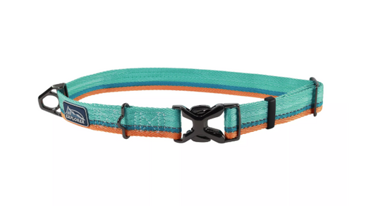 Coastal K9 Explorer Trek Adjustable Dog Collar Everglades 18"-26"