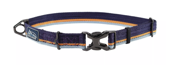 Coastal K9 Explorer Trek Adjustable Dog Collar Napa 8"-12"