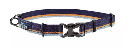 Coastal K9 Explorer Trek Adjustable Dog Collar Napa 8"-12"