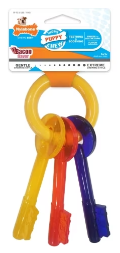 Nylabone Teething Keys Bacon Regular