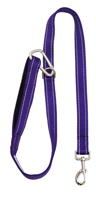 BayDog Leash Hudson Bay x4' Purple