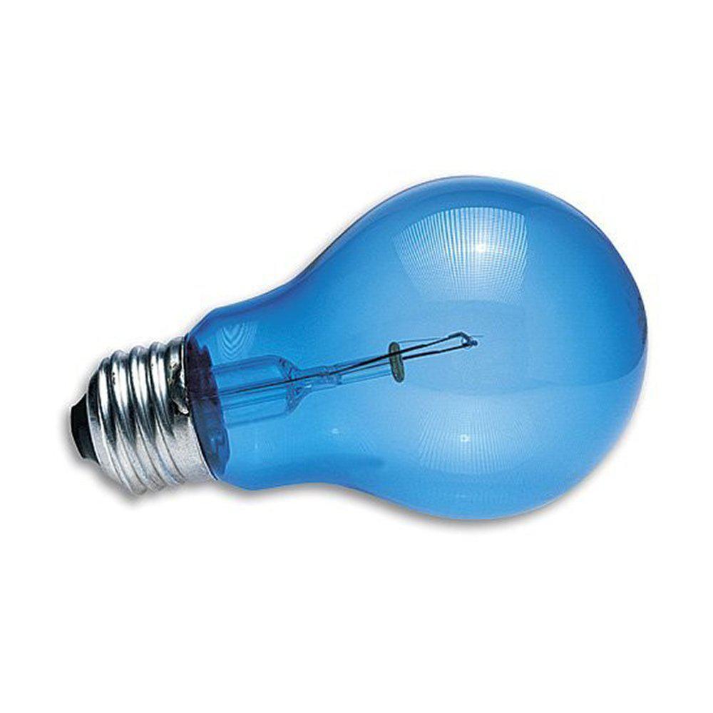 Zoo Med 100W Blue Day Bulb