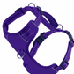 BayDog Harness Chesapeake Purple Rain MD