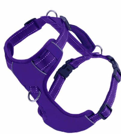 BayDog Harness Chesapeake Purple Rain MD