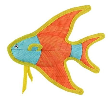 DuraForce Angel Fish Orange-Yellow-Blue