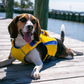 BayDog Life Jacket SM