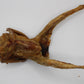 Becosi Whole Quail 2 ct