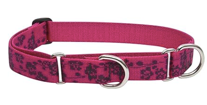 Lupine 1" Martingale Plum Blossom 19"-27"