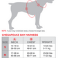 BayDog Harness Chesapeake Black XLarge