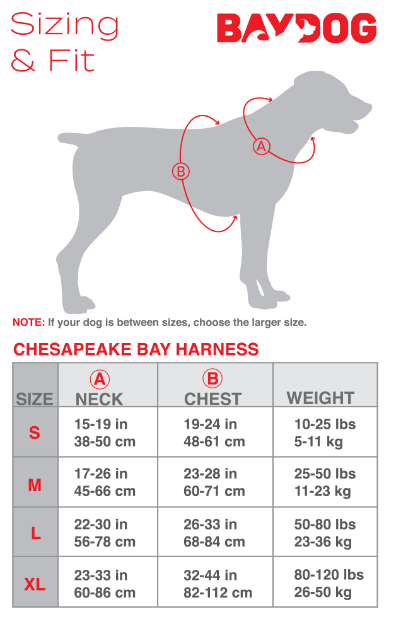 BayDog Harness Chesapeake Black XLarge
