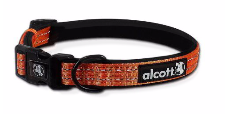 Alcott Adventure Nylon Dog Collar - Neon Orange SM