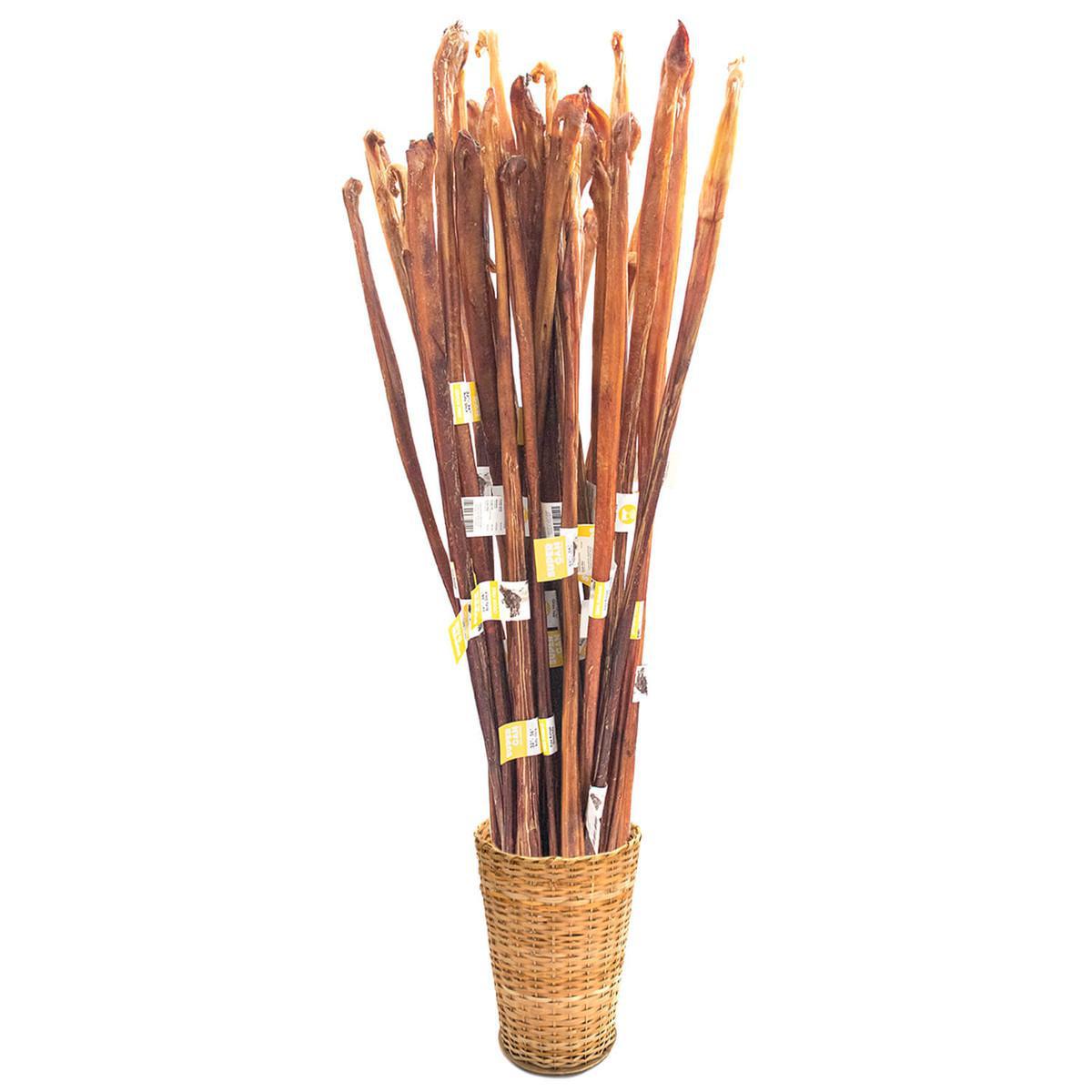 SuperCan Bully Stick 32"-36"