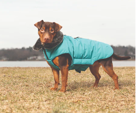 DGS Hemlock Puffy Jacket Olive 14"