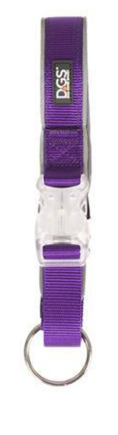 Dog Gone Smart Comet LED Collar Small - Purple