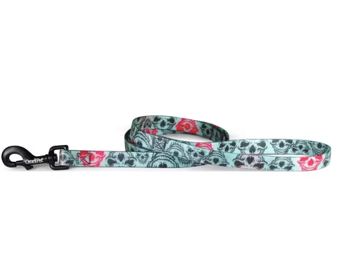 Attitudz Skull 3/4"Dog Leash 6ft