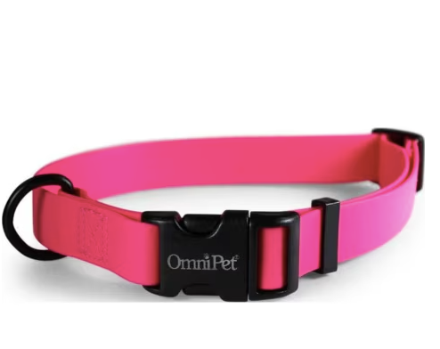 Carnival Pink Dog Collar 18x26"