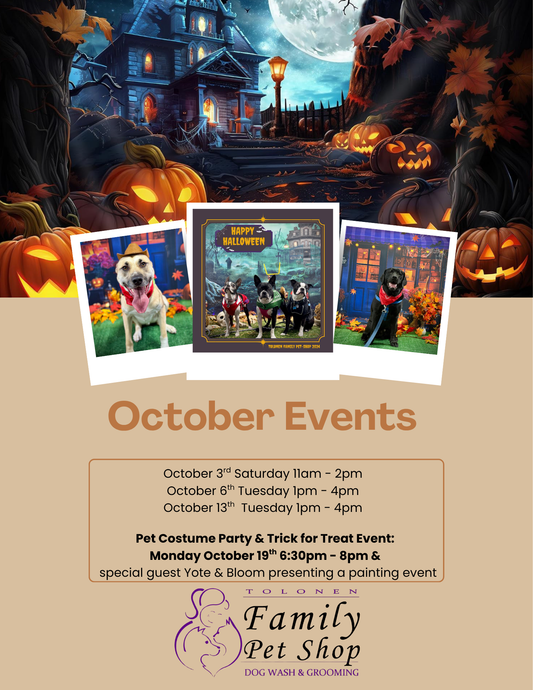 Halloween Photo Shoot (Oct. 6th)