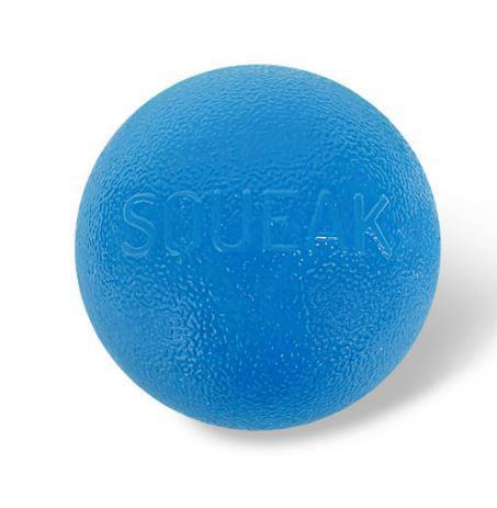 Outward Hound Orbee-Tuff Squeak Ball Dog Toy