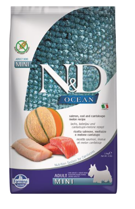 N&D Ocean Salmon Cod Mini 5.5#