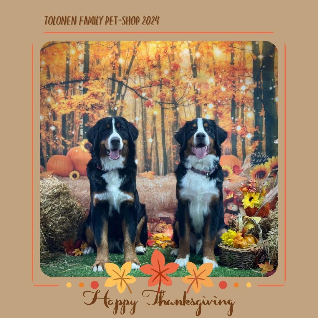 Fall 2025 Photo Shoot