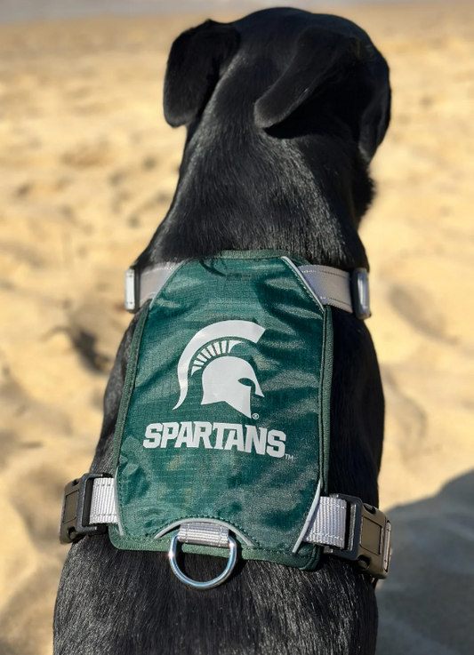 BayDog Harness Michigan State SM