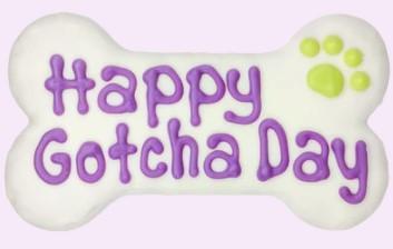 Bosco & Roxys Happy Gotcha Day Bone