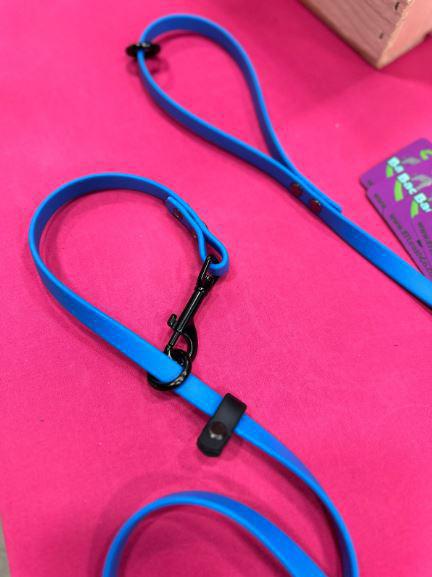 Echo 6ft Leash - Sky Blue