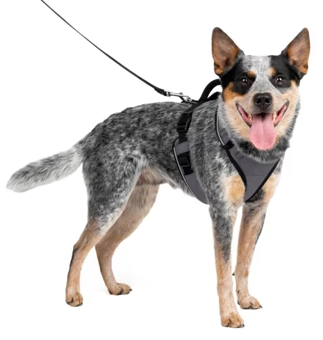 PetSafe EasySport Harness Charcoal MD