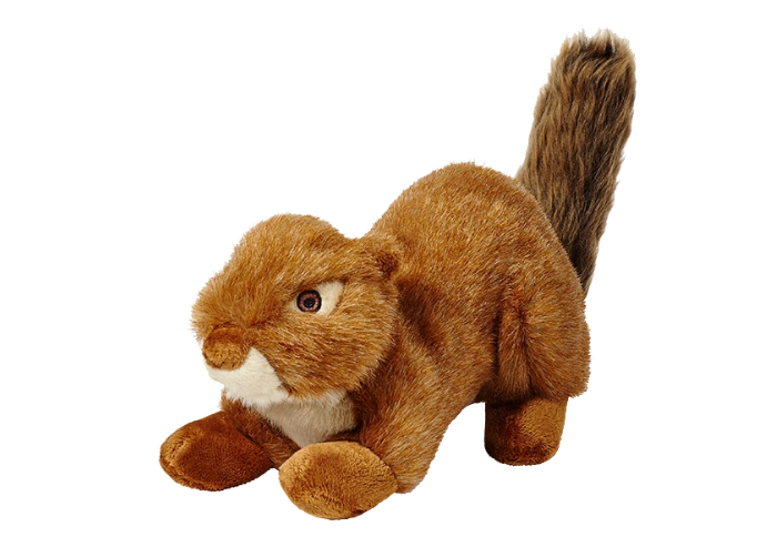 F&T Red Squirrel