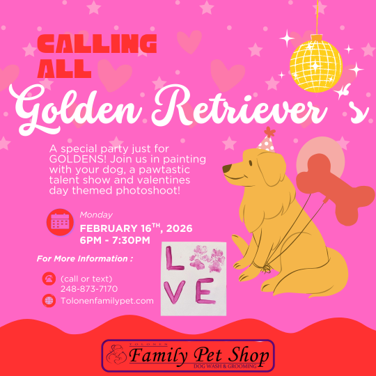 Golden Retriever Party