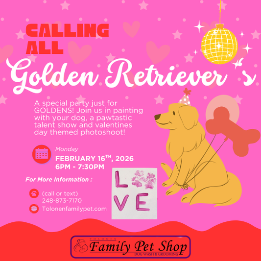 Golden Retriever Party