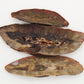 Becosi Dehydrated Pork Kidney 2 oz