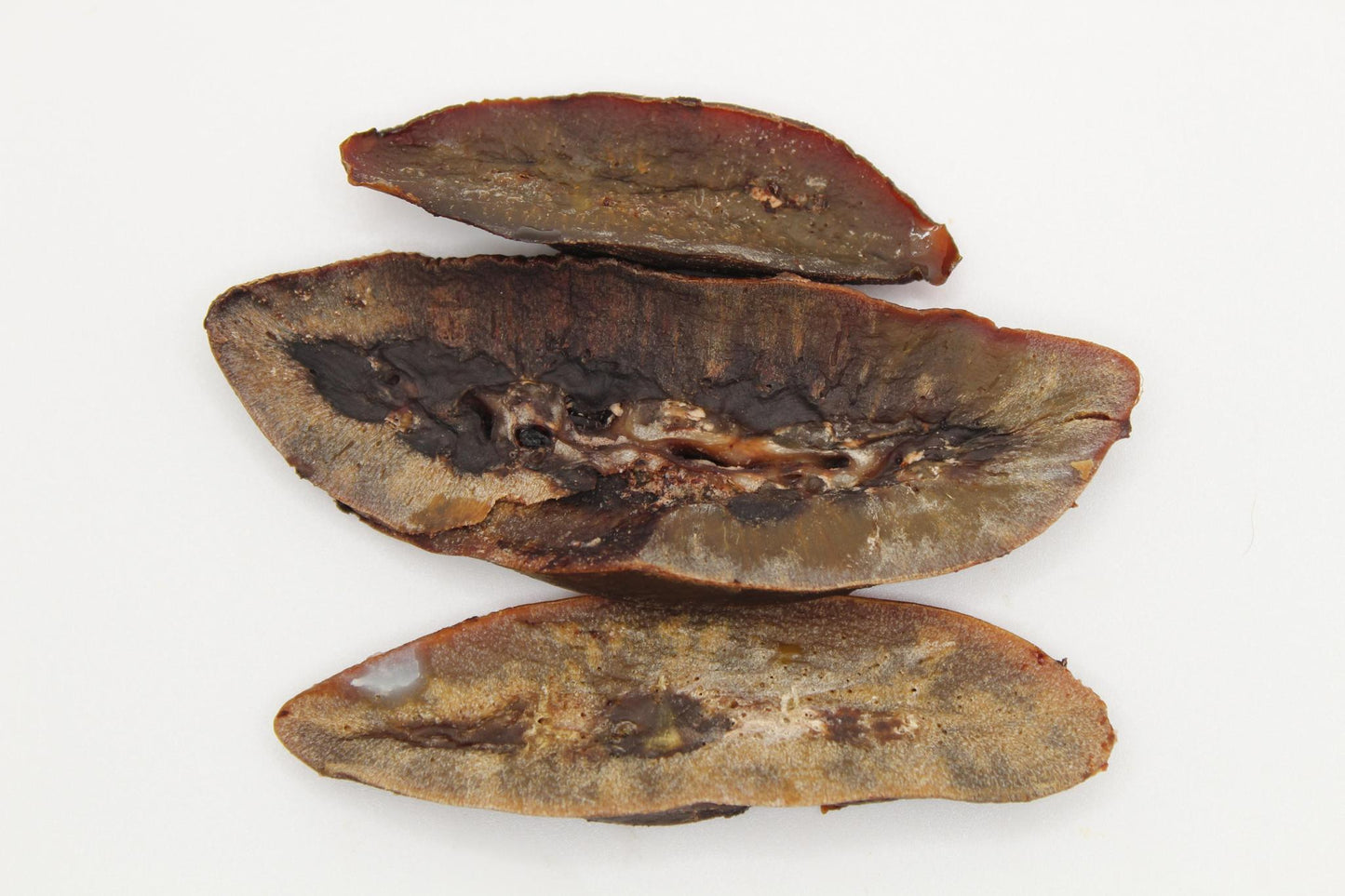 Becosi Dehydrated Pork Kidney 2 oz