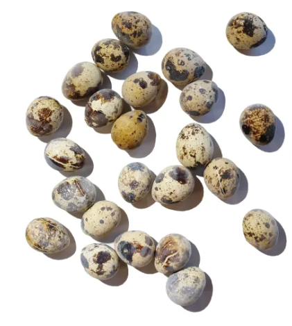 Savage Frozen Quail Eggs 24ct