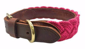 BayDog Pink Lily Seaside Collar SM