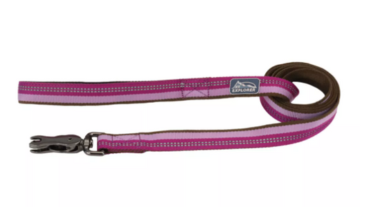 Coastal 5/8" Reflective Leash Orchid x6'