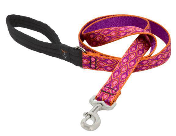 Lupine 1" Leash Alpen x6'