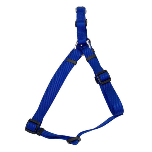 Coastal 1" Adj. Harness Blue 26"-38"