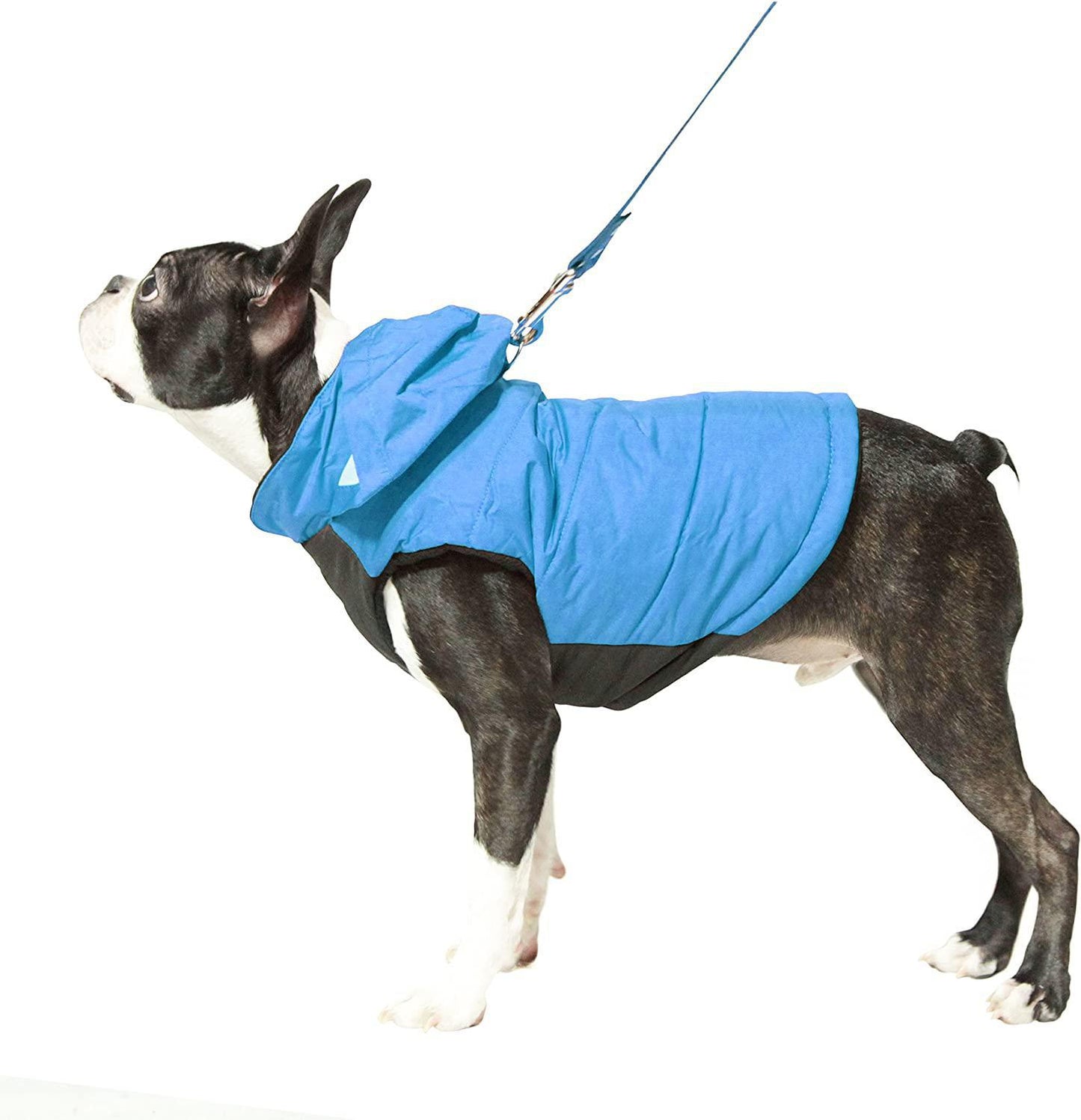 Gooby Wind Harness MED Blue