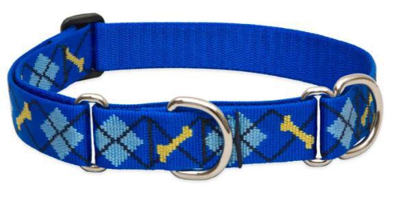 Lupine 1" Martingale Dapper 15"-22"