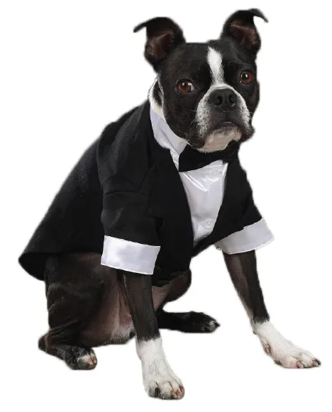 Boss Groom Tuxedo XS