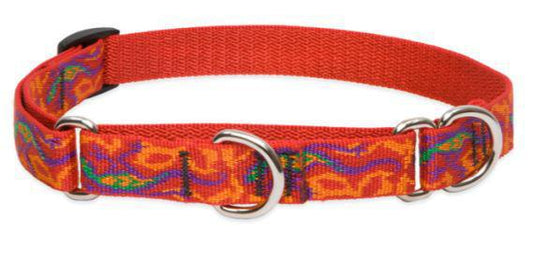 Lupine 3/4" Martingale Gecko 10"-14"