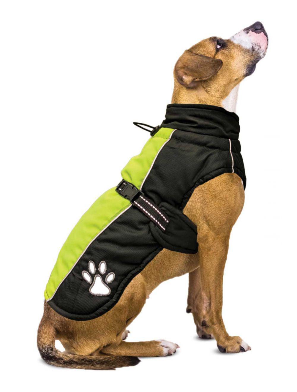 Fashion Pet Sporty Jacket Black & Green XLG