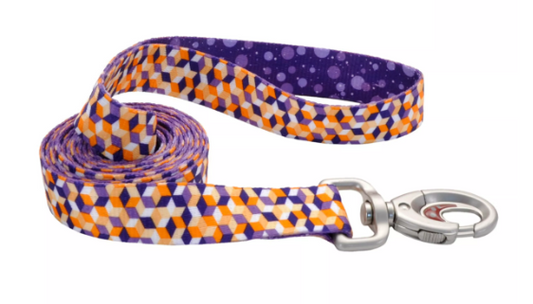 Coastal 1" Leash Purple Cubes x6'